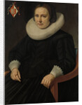 Portrait of Sara Sweerts de Weert, second Wife of Antonius Antonides van der Linden by Hendrik Meerman