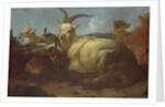 A Goatherd Watching his Animals by Johann Melchior Roos