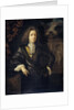 Portrait of Johan van Bochoven, Adviser to the Court of Flanders by Daniël Haringh