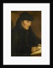 Portrait of Desiderius Erasmus by Anonymous