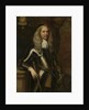 Portrait of Cornelis van Aerssen, Lord of Sommelsdijk, Colonel in the Cavalry by Adriaen Hanneman