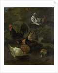 A Cock, Hens, Doves, and a Marmot by Jacomo Victors