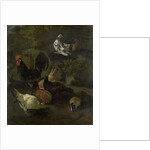 A Cock, Hens, Doves, and a Marmot by Jacomo Victors