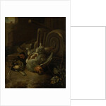 Dead Birds by Melchior d' Hondecoeter