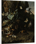 Animals and Plants by Melchior d' Hondecoeter