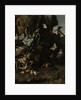 Animals and Plants by Melchior d' Hondecoeter
