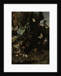 Animals and Plants by Melchior d' Hondecoeter
