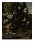 Animals and Plants by Melchior d' Hondecoeter