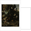 Animals and Plants by Melchior d' Hondecoeter