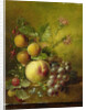 Stilleven met vruchten by Willem Hekking I