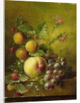 Stilleven met vruchten by Willem Hekking I