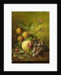 Stilleven met vruchten by Willem Hekking I
