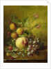 Stilleven met vruchten by Willem Hekking I
