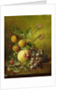 Stilleven met vruchten by Willem Hekking I