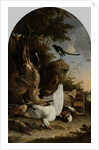 A Hunter’s Bag near a Tree Stump with a Magpie, Known as ‘The Contemplative Magpie’ by Melchior d' Hondecoeter