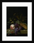 Still Life with Fruit by Pieter Gallis