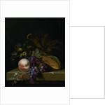 Still Life with Fruit by Pieter Gallis