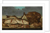 Still Life with Fish by Willem Ormea