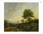 View in the Harz Mountains Germany by Cornelis François Roos