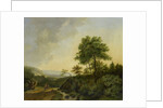 View in the Harz Mountains Germany by Cornelis François Roos