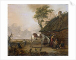 A Piebald Horse by Jan Wouwerman