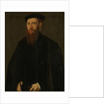 Portrait of Willem van Lokhorst by Jan van Scorel