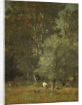 Forest scene by Jules Dupré