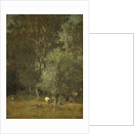 Forest scene by Jules Dupré