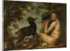 A Satyr by Jacob Jordaens I