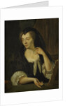 Portrait of Anna de Hooghe, the Artist's fourth Wife by Ludolf Bakhuysen