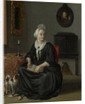 Portrait of Anna de Hooghe, the Artist's fourth Wife by Ludolf Bakhuysen