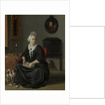 Portrait of Anna de Hooghe, the Artist's fourth Wife by Ludolf Bakhuysen