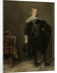 Portrait of a young Man by Harmen Willems Wieringa