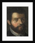 Portrait of a Man by Anonymous