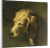 Head of a Dog by Nicolas Toussaint Charlet