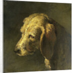 Head of a Dog by Nicolas Toussaint Charlet