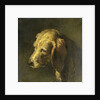 Head of a Dog by Nicolas Toussaint Charlet