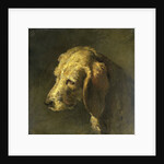 Head of a Dog by Nicolas Toussaint Charlet