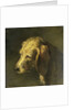 Head of a Dog by Nicolas Toussaint Charlet