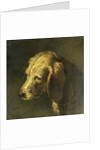 Head of a Dog by Nicolas Toussaint Charlet