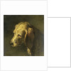 Head of a Dog by Nicolas Toussaint Charlet