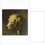 Head of a Dog by Nicolas Toussaint Charlet
