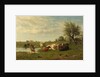 Cows in a Meadow by Gerard Bilders