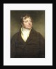Portrait of a Man, perhaps J.W. Beynen by Charles Howard Hodges