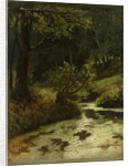 Brook in the Woods near Oosterbeek, The Netherlands by Matthijs Maris