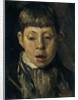Boys head by Willem de Zwart