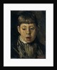 Boys head by Willem de Zwart