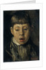 Boys head by Willem de Zwart