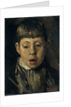 Boys head by Willem de Zwart