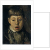 Boys head by Willem de Zwart
